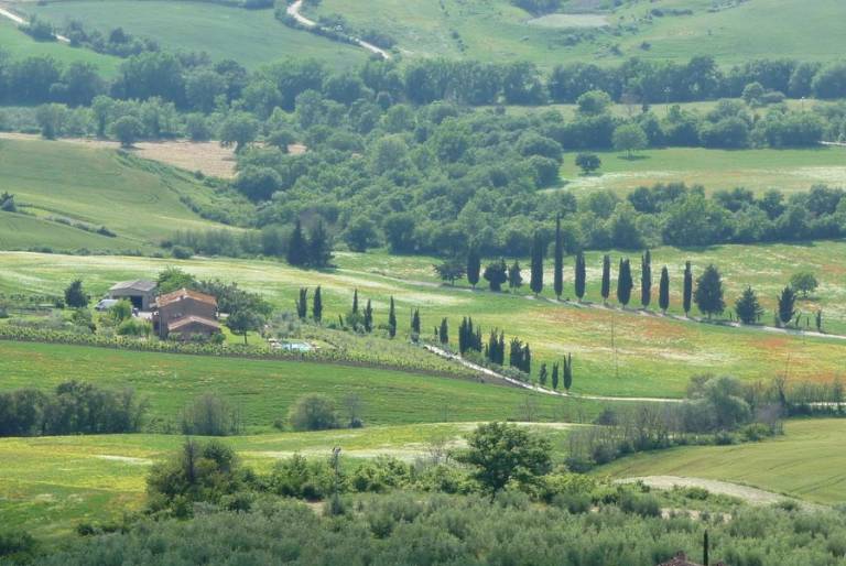Santa Maria di Pienza: La Loggia — photo 5
