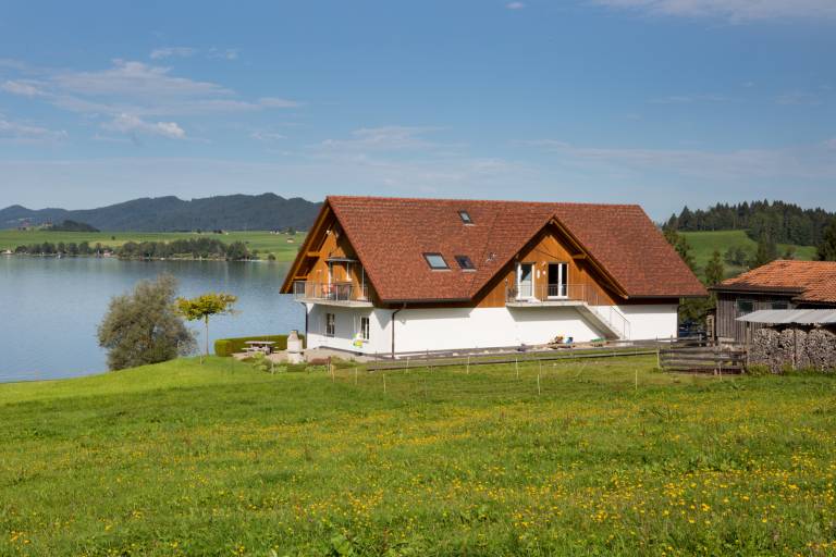 foto1