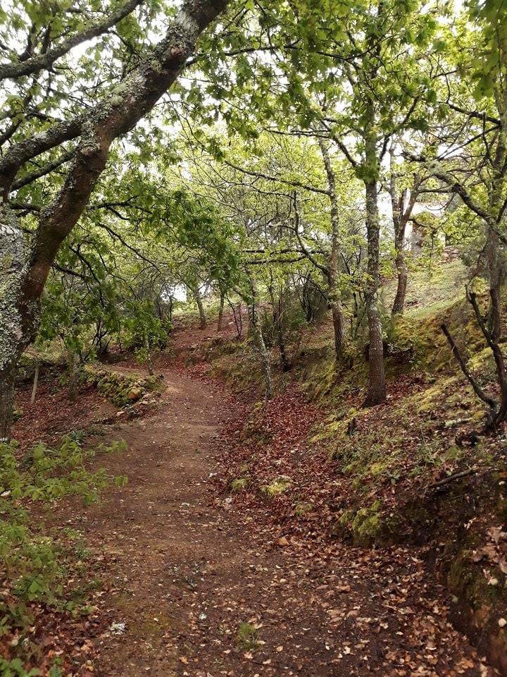 foto14