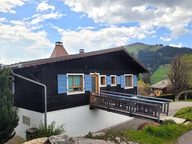 Chalet Les Gets