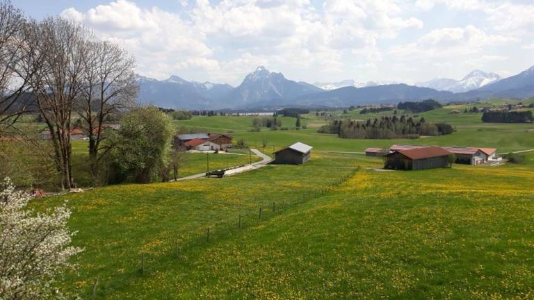 Ferienwohnung  Hopfen am See
