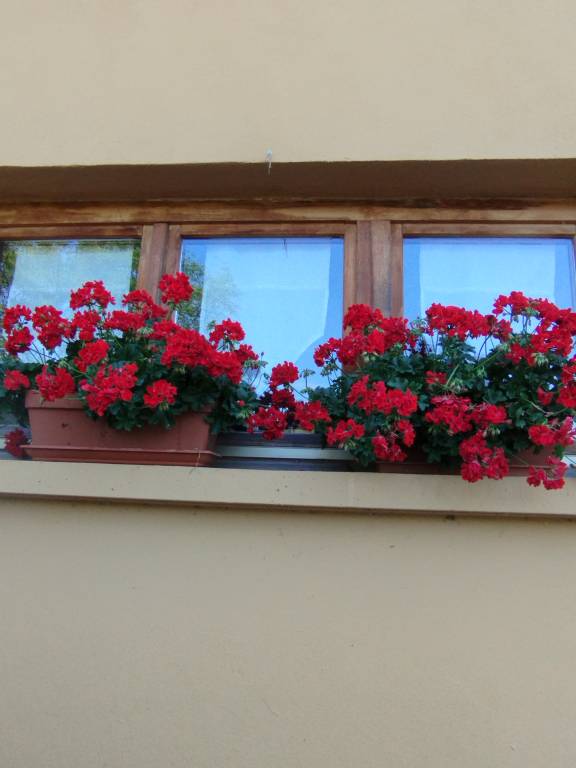 foto14