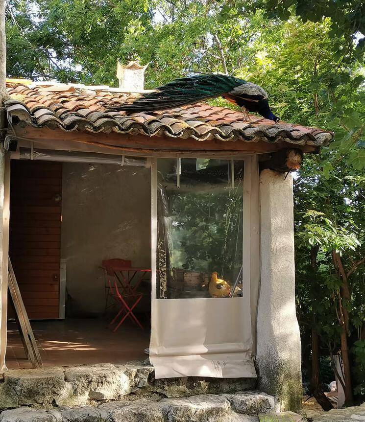 foto12