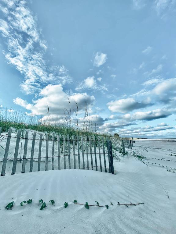 House Palmetto Dunes