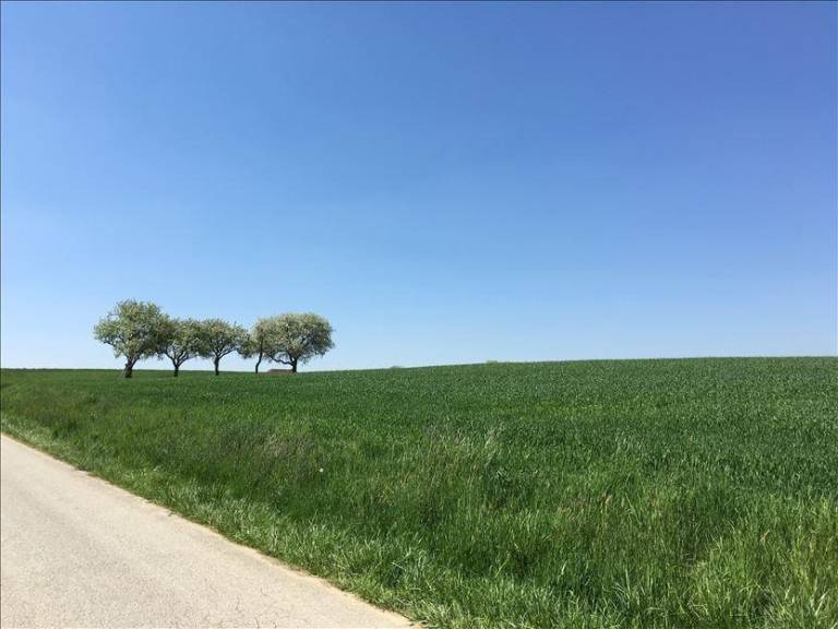 foto40