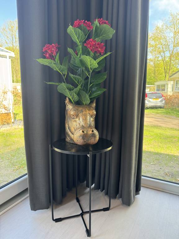 foto10
