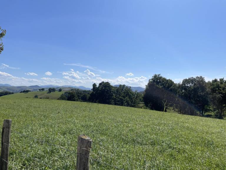 UHALDEBERRIA — photo 2