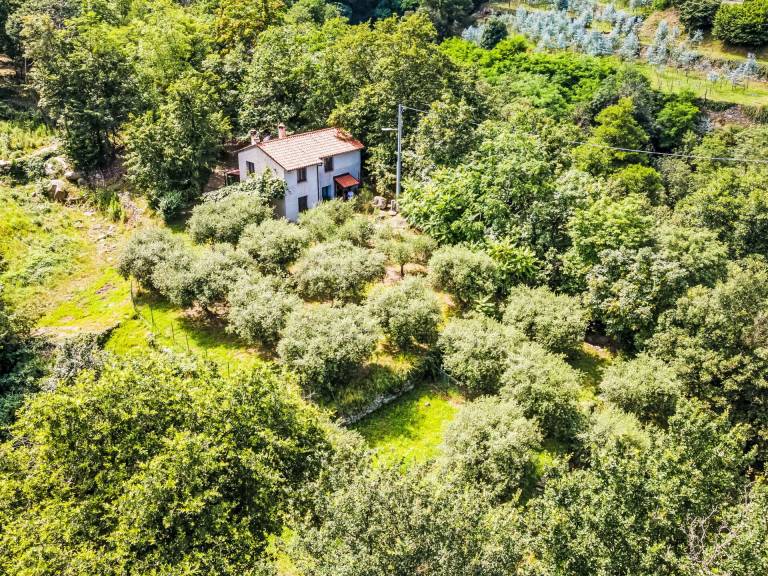 Casa Bardineto