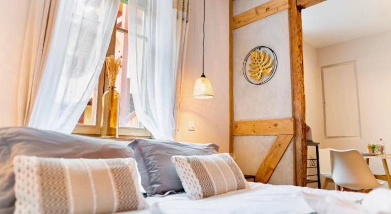 Rental apartment | Pets allowed in Colmar