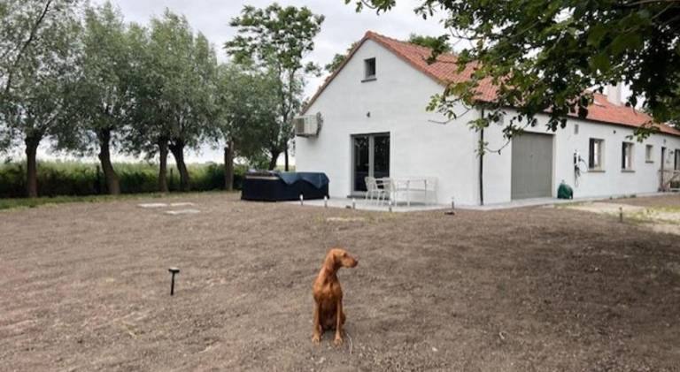 Casa Terra - Landelijk gastenverblijf met jacuzzi en IR-sauna — photo 5