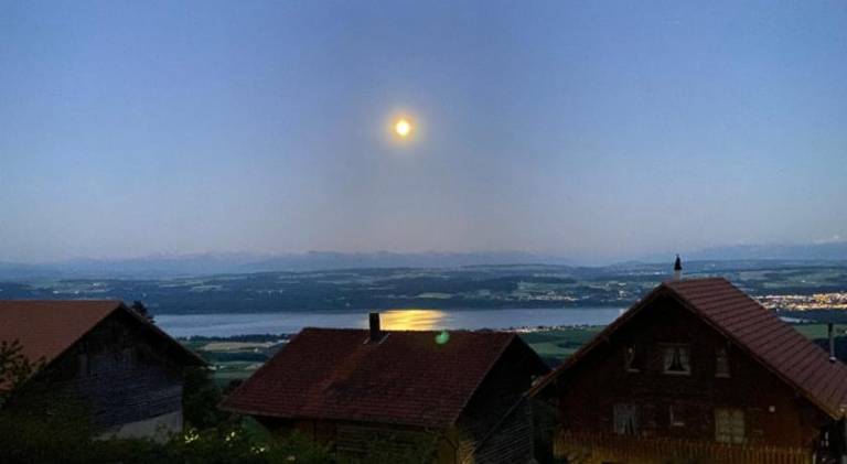 foto16