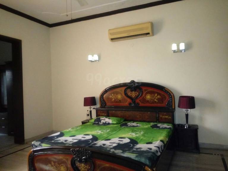 foto43