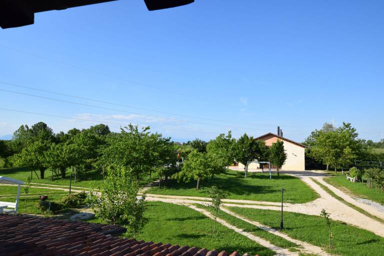 foto7