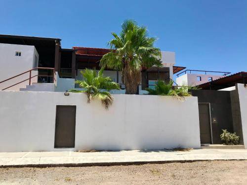 Apartment San Carlos