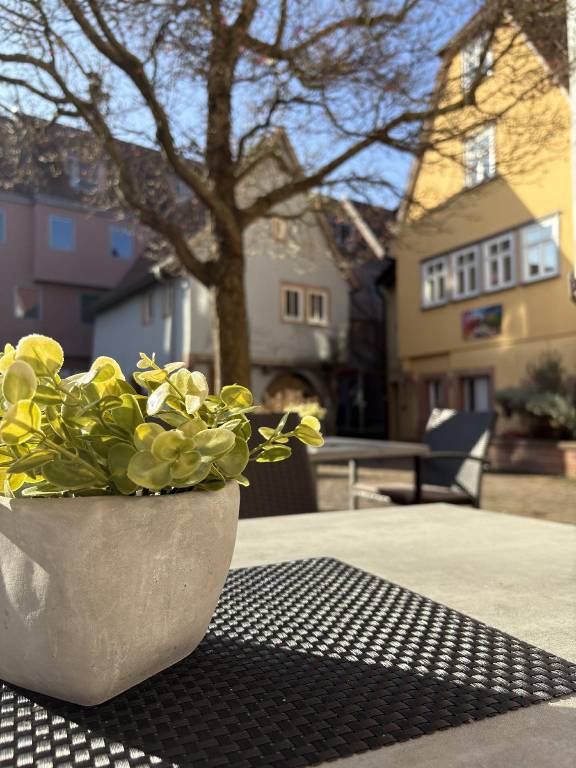 Wertheimer Gasthaus Hotel & Restaurant — photo 4