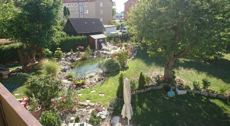foto19