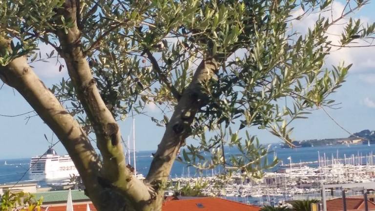 Apartamento  La Spezia
