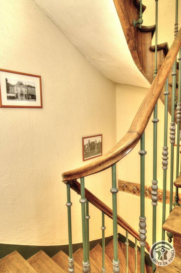 foto11