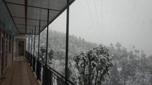 foto2