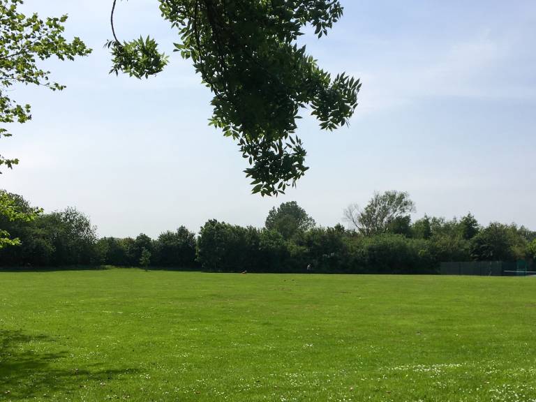 foto16