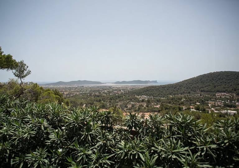 foto8