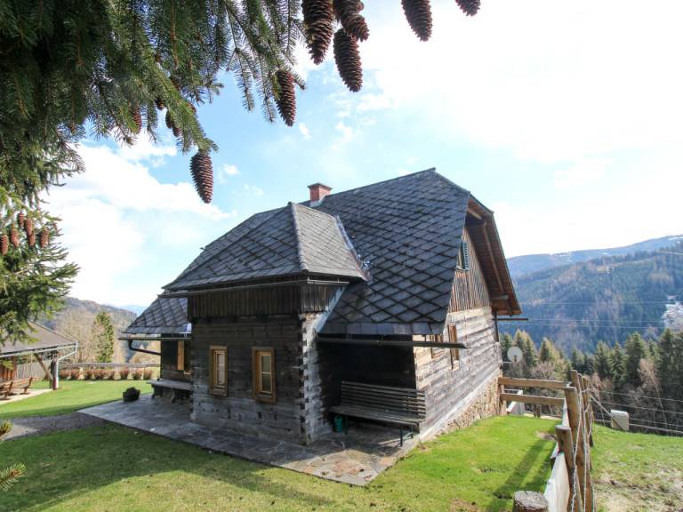 Ferienhaus Wolfsberg