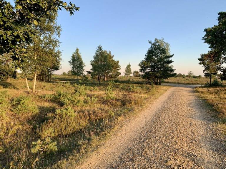 foto22