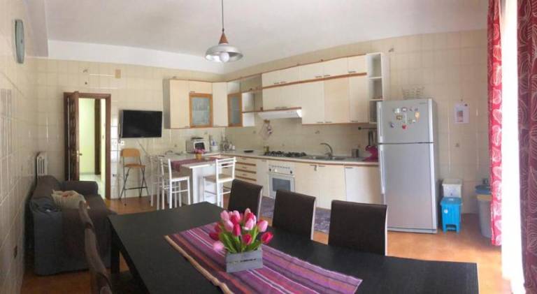 Rental apartment | Pets are welcome — photo 4