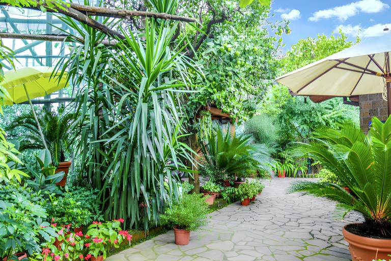 Studio Sorrento