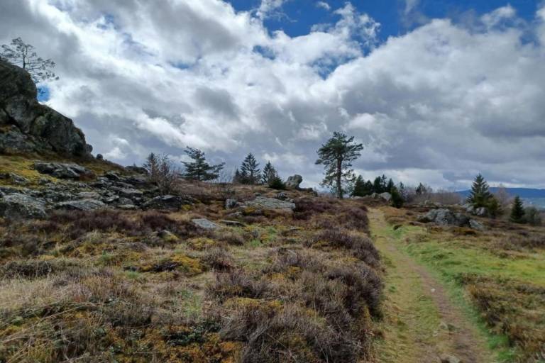 foto30