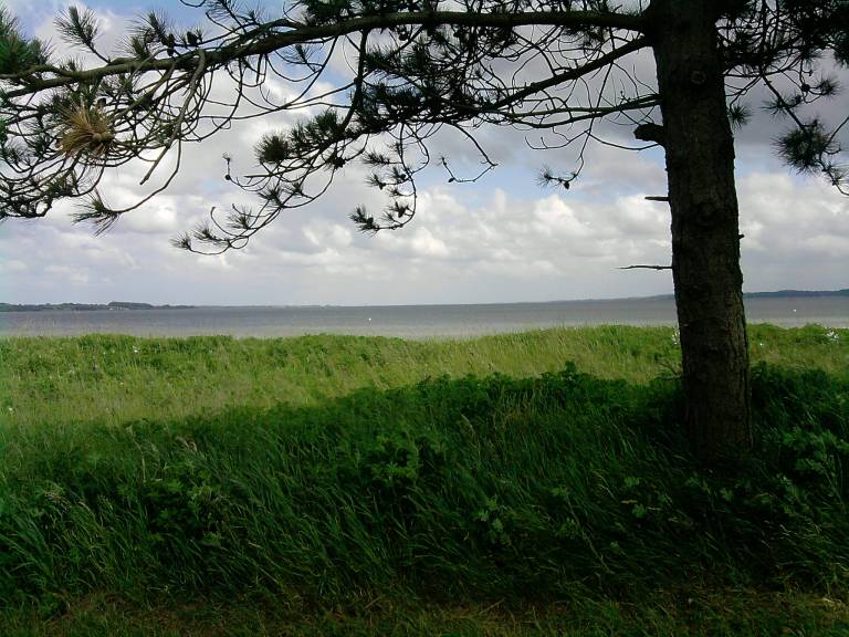 foto11