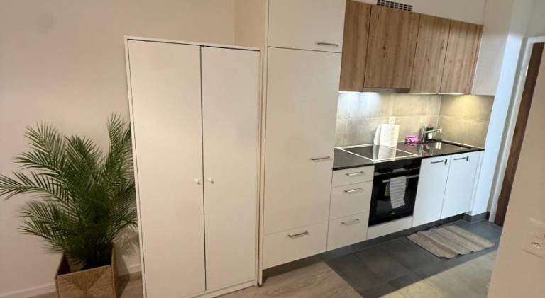 Beautiful holiday apartment | Dogs allowed — photo 3