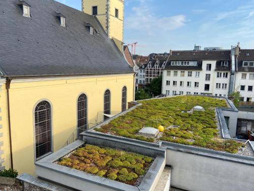 Ferienwohnung  Altstadt