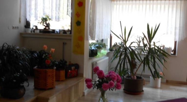 foto18