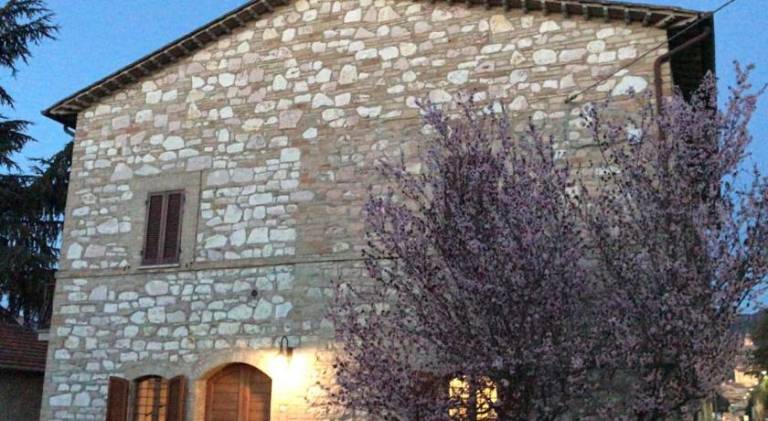 Holiday apartment | Pets are welcome in Assisi