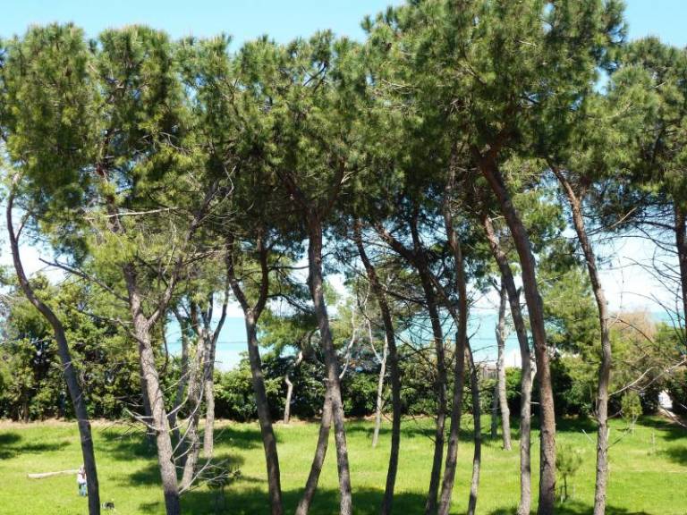 Appartamento Montesilvano Colle