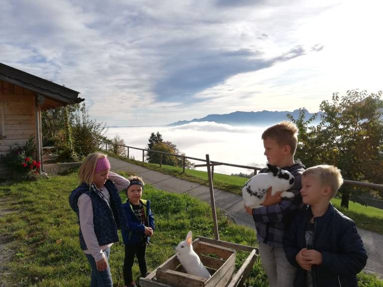 foto20