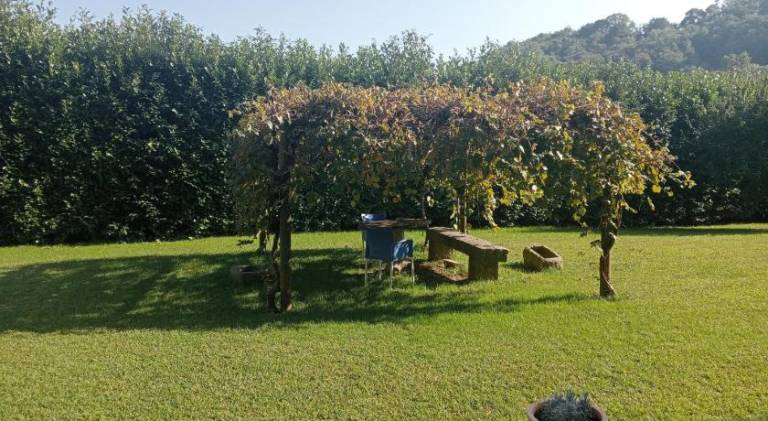 foto16