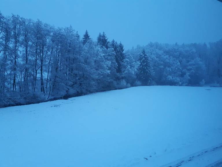 foto15