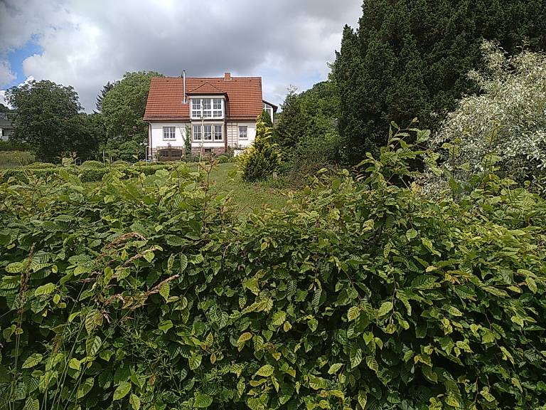 foto27