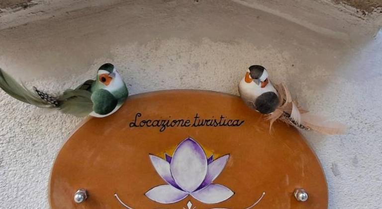Vacation home | Pets are welcome in L'Aquila