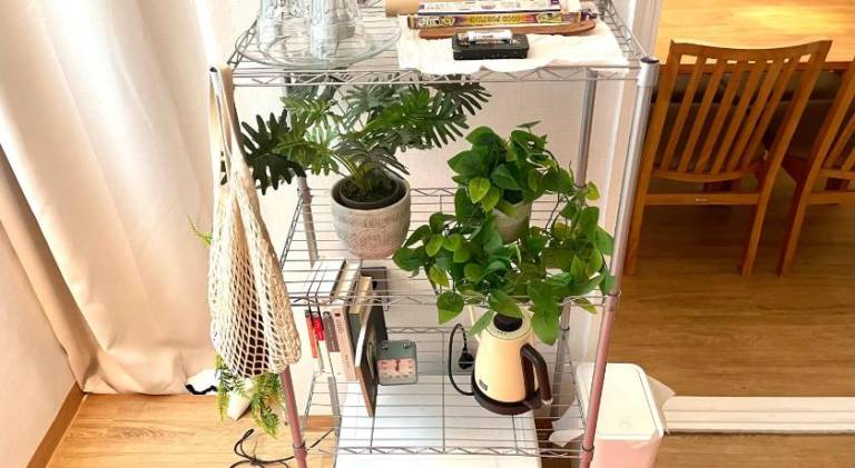 foto12