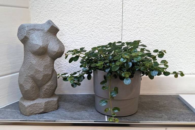 foto29