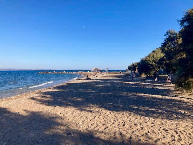 foto45