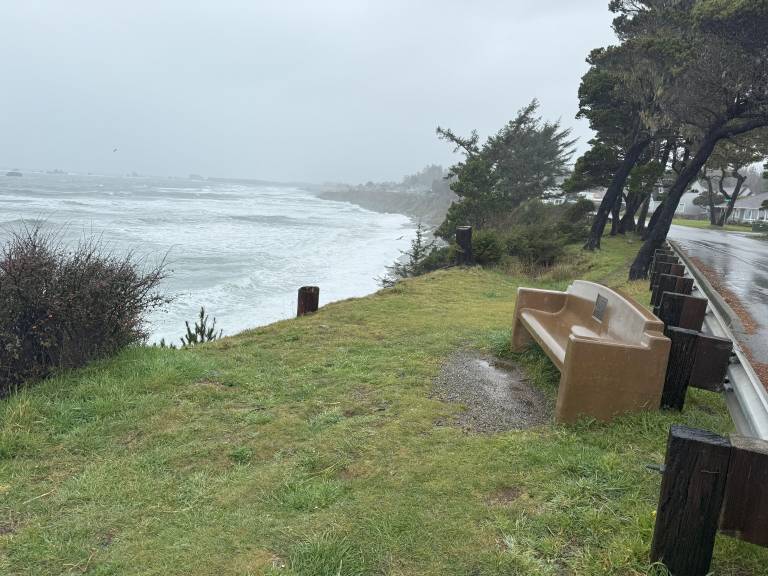 House Crescent City