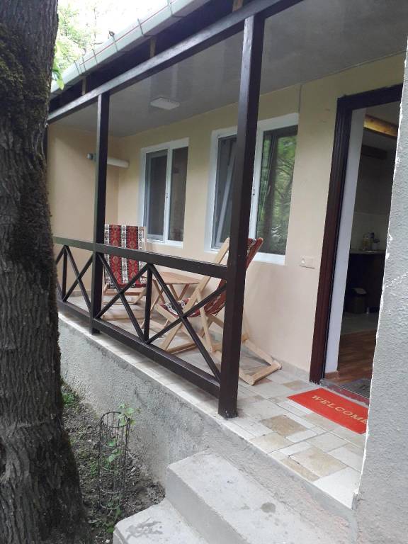 Nice bungalow with BBQ & yard | Pets allowed in Borjomi