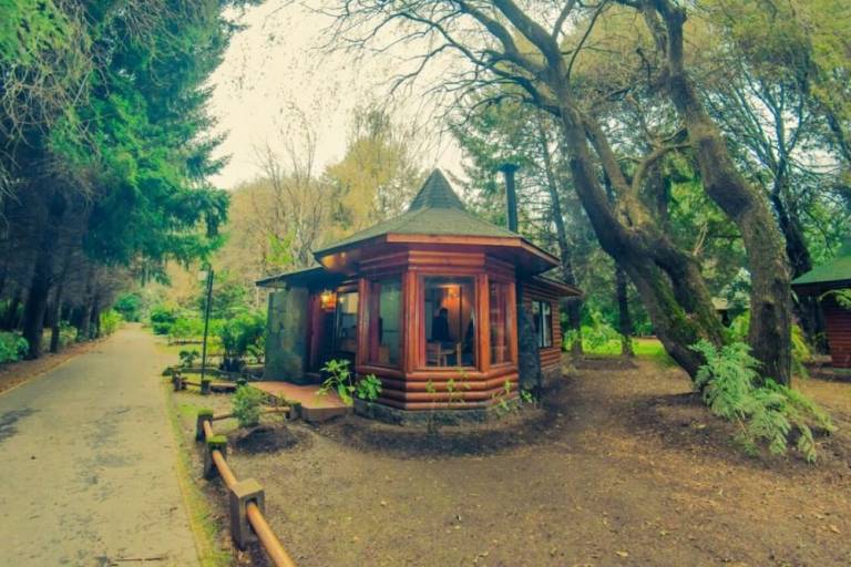 Cabin  Pucón