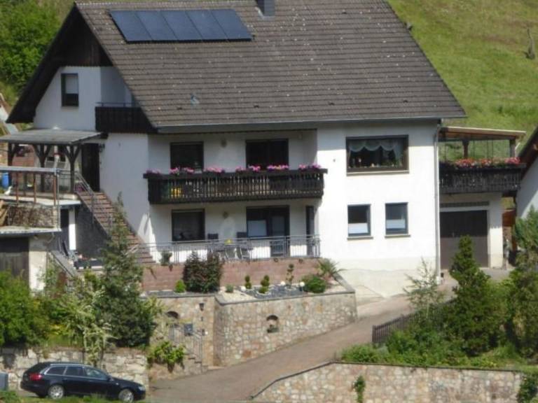 foto1