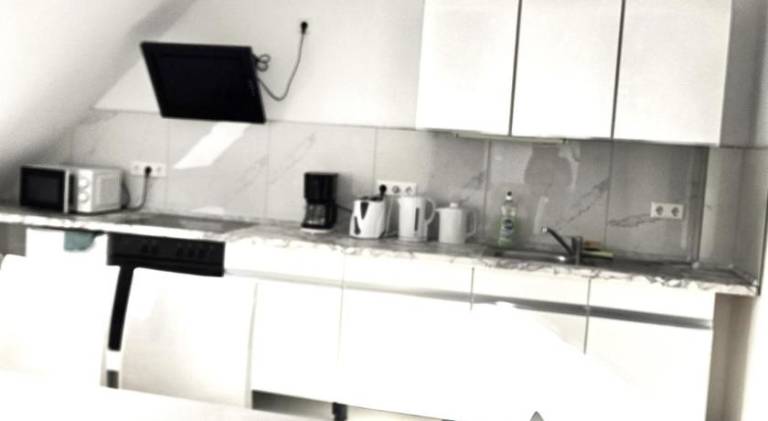 Holiday apartment | Suitable for remote work | Pets are welcome — photo 3