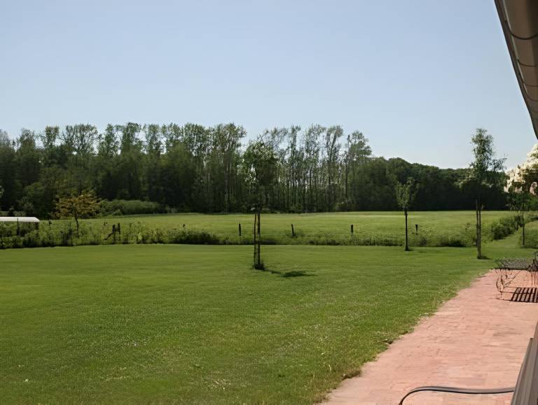 foto37